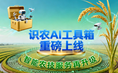 识农AI推出全场景&ldquo;农业AI百宝箱&rdquo;：病害、虫害、AI称重、AI数果、AI兑水一网打尽！农业人的终极