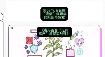 第02节：百合的&ldquo;癌症&rdquo;&mdash;&mdash;病毒病的阻断与急救，课程：《卷丹百合&ldquo;无病高产&rdquo;植保实战课》#识农AI