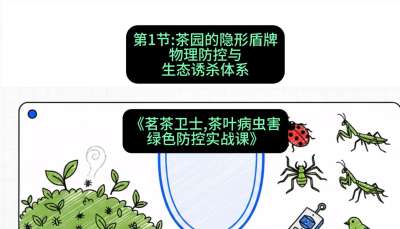第01节：茶园的&ldquo;隐形盾牌&rdquo;&mdash;&mdash;物理防控与生态诱杀体系，课程：《茗茶卫士&mdash;&mdash;茶叶病虫害绿色防控实战课》#识农AI