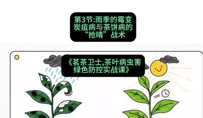 第03节：雨季的霉变&mdash;&mdash;炭疽病与茶饼病的&ldquo;抢晴&rdquo;战术，课程：《茗茶卫士&mdash;&mdash;茶叶病虫害绿色防控实战课》#识农AI
