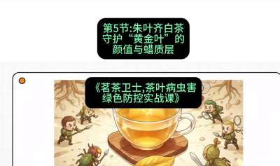 第05节：朱叶齐白茶&mdash;&mdash;守护&ldquo;黄金叶&rdquo;的颜值与蜡质层（重点），课程：《茗茶卫士&mdash;&mdash;茶叶病虫害绿色防控实战课》#识农AI