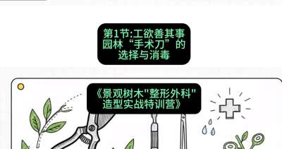 第01节：工欲善其事&mdash;&mdash;园林&ldquo;手术刀&rdquo;的选择与消毒，课程：《景观树木&ldquo;整形外科&rdquo;造型实战特训营》#识农AI