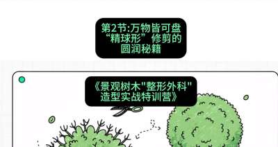 第02节：万物皆可盘&mdash;&mdash;&ldquo;精球形&rdquo;修剪的圆润秘籍，课程：《景观树木&ldquo;整形外科&rdquo;造型实战特训营》#识农AI