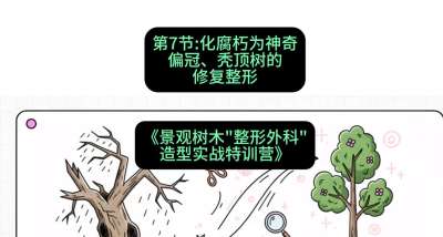 第07节：化腐朽为神奇&mdash;&mdash;偏冠、秃顶树的修复整形，课程：《景观树木&ldquo;整形外科&rdquo;造型实战特训营》#识农AI