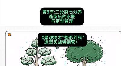 第08节：三分剪七分养&mdash;&mdash;造型后的水肥与定型管理，课程：《景观树木&ldquo;整形外科&rdquo;造型实战特训营》#识农AI