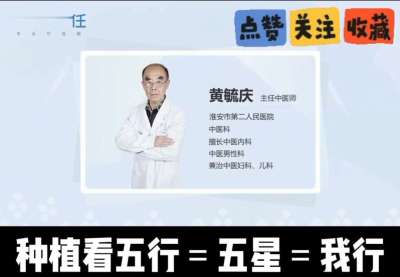 中药材淫羊藿怎么种？听专家一次讲明白！不挑地块好管理，耐寒耐旱省心省力，新手也能轻松上手，药用价值高、市场需求稳，妥妥的增收好品种～ 从生长习性到采收要点，干货满满无废话，种植疑问直接问，一对一答疑解