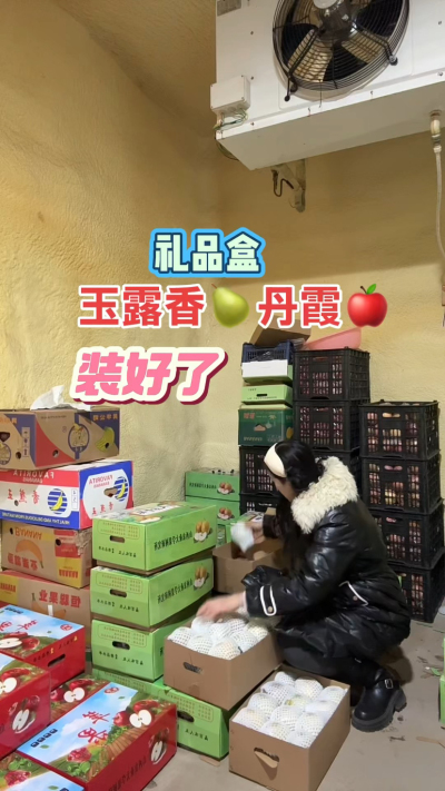 玉露香梨，丹霞苹果礼品盒