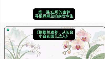 第一节：庄周的幽梦：寻根蝴蝶兰的前世今生，课程：《蝴蝶兰雅养六讲：从阳台小白到园艺达人》#识农AI