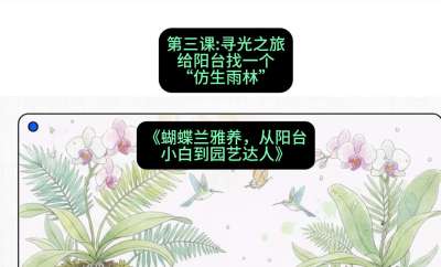 第三节：寻光之旅：给阳台找一个&ldquo;仿生雨林&rdquo;，课程：《蝴蝶兰雅养六讲：从阳台小白到园艺达人》#识农AI