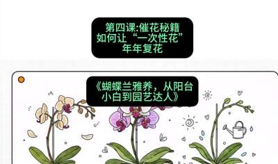 第四节：催花秘籍：如何让&ldquo;一次性花&rdquo;年年复花，课程：《蝴蝶兰雅养六讲：从阳台小白到园艺达人》#识农AI