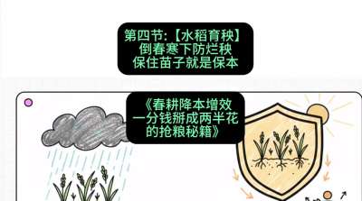 第四节：【水稻育秧】倒春寒下防烂秧，保住苗子就是保本