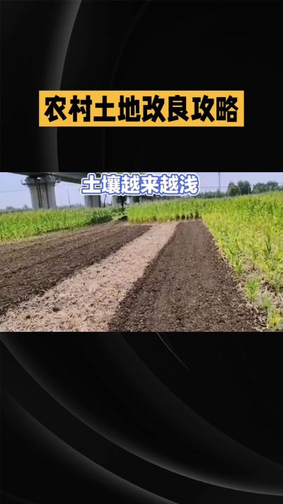 1. 先搞懂：你到底要改良哪块地、种什么
 
- 土土土在哪里？
就是你自家农田、菜地、果园，哪块地想种庄稼，就测哪块地的土。
​
- 有水没有水？
有水能浇：改良更省事，施肥、调酸碱都好操作。
没水