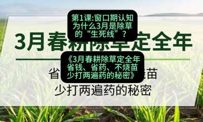 第1节：窗口期认知，为什么3月是除草的&ldquo;生死线&rdquo;？，课程：《3月春耕除草定全年：省钱、省药、不烧苗、少打两遍药的秘密》