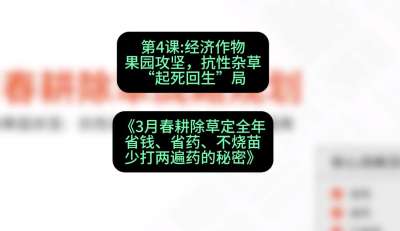 第4节：经济作物果园攻坚，抗性杂草&ldquo;起死回生&rdquo;局，课程：《3月春耕除草定全年：省钱、省药、不烧苗、少打两遍药的秘密》